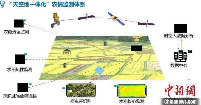 电子科技大学研发的"天空地一体化水稻农情监测"系统. 电子科大供图